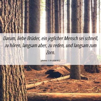 Picture 06 - Jakobus 1:19 LUTH1912 - Darum, liebe Brüder, ein jeglicher Mensch sei - Bible Verse Picture