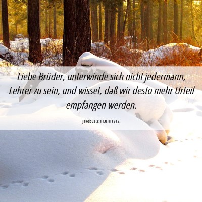Picture 06 - Jakobus 3:1 LUTH1912 - Liebe Brüder, unterwinde sich nicht jedermann, - Bible Verse Picture