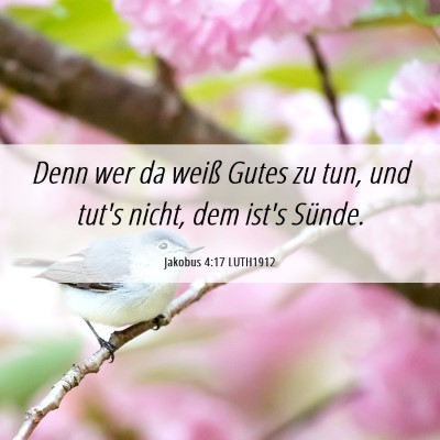Picture 06 - Jakobus 4:17 LUTH1912 - Denn wer da weiß Gutes zu tun, und tut's nicht, - Bible Verse Picture