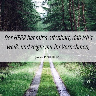 Picture 06 - Jeremia 11:18 LUTH1912 - Der HERR hat mir's offenbart, daß ich's weiß, - Bible Verse Picture