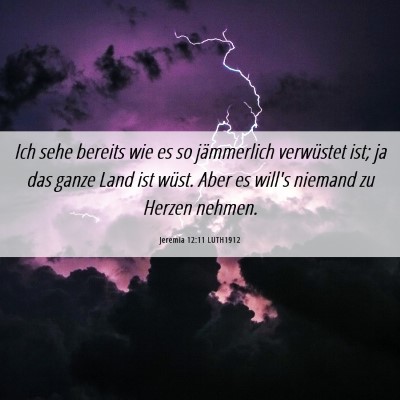 Picture 06 - Jeremia 12:11 LUTH1912 - Ich sehe bereits wie es so jämmerlich verwüstet - Bible Verse Picture