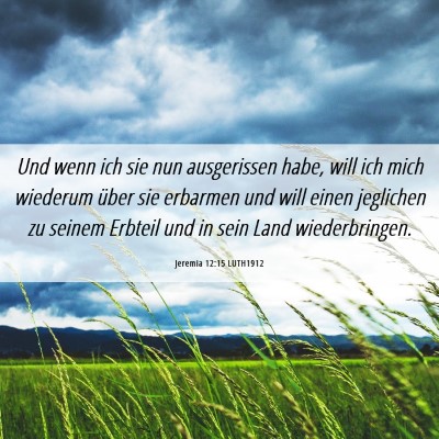 Picture 06 - Jeremia 12:15 LUTH1912 - Und wenn ich sie nun ausgerissen habe, will ich - Bible Verse Picture