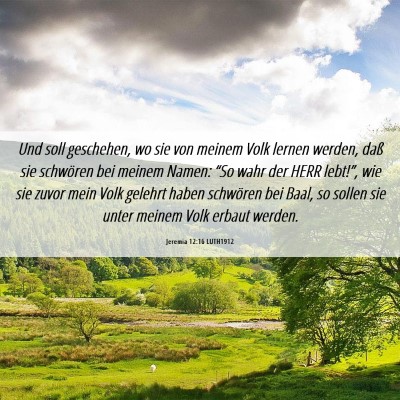 Picture 06 - Jeremia 12:16 LUTH1912 - Und soll geschehen, wo sie von meinem Volk lernen - Bible Verse Picture