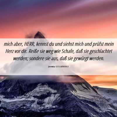 Picture 06 - Jeremia 12:3 LUTH1912 - mich aber, HERR, kennst du und siehst mich und - Bible Verse Picture
