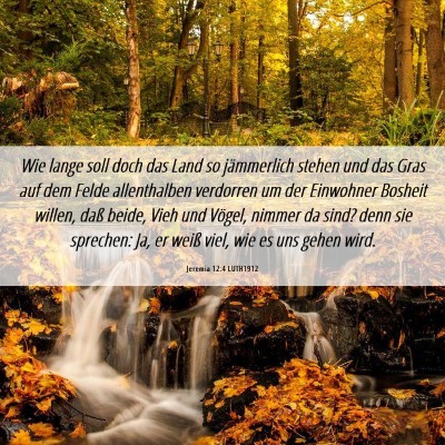 Picture 06 - Jeremia 12:4 LUTH1912 - Wie lange soll doch das Land so jämmerlich - Bible Verse Picture