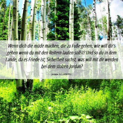 Picture 06 - Jeremia 12:5 LUTH1912 - Wenn dich die müde machen, die zu Fuße gehen, - Bible Verse Picture