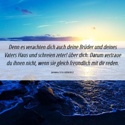 Picture 06 - Jeremia 12:6 LUTH1912 - Denn es verachten dich auch deine Brüder und - Bible Verse Picture