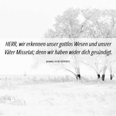 Picture 06 - Jeremia 14:20 LUTH1912 - HERR, wir erkennen unser gottlos Wesen und unsrer - Bible Verse Picture