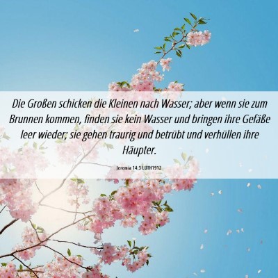 Picture 06 - Jeremia 14:3 LUTH1912 - Die Großen schicken die Kleinen nach Wasser; - Bible Verse Picture