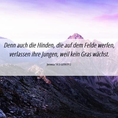 Picture 06 - Jeremia 14:5 LUTH1912 - Denn auch die Hinden, die auf dem Felde werfen, - Bible Verse Picture