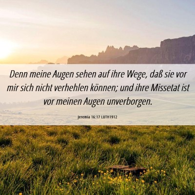 Picture 06 - Jeremia 16:17 LUTH1912 - Denn meine Augen sehen auf ihre Wege, daß sie - Bible Verse Picture