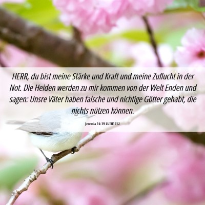 Picture 06 - Jeremia 16:19 LUTH1912 - HERR, du bist meine Stärke und Kraft und meine - Bible Verse Picture