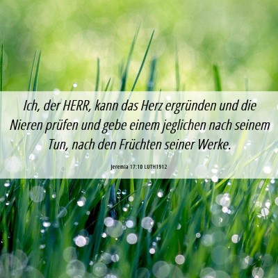 Picture 06 - Jeremia 17:10 LUTH1912 - Ich, der HERR, kann das Herz ergründen und die - Bible Verse Picture