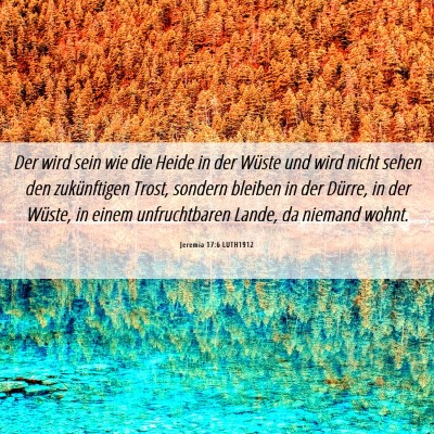 Picture 06 - Jeremia 17:6 LUTH1912 - Der wird sein wie die Heide in der Wüste und - Bible Verse Picture