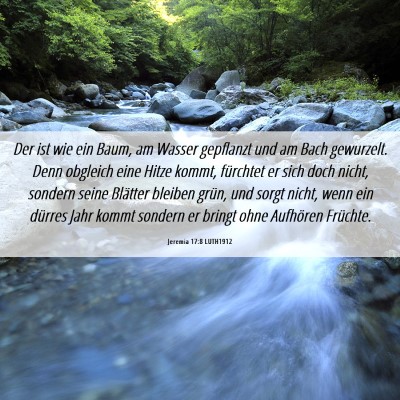Picture 06 - Jeremia 17:8 LUTH1912 - Der ist wie ein Baum, am Wasser gepflanzt und am - Bible Verse Picture