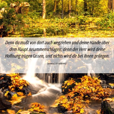 Picture 06 - Jeremia 2:37 LUTH1912 - Denn du mußt von dort auch wegziehen und deine - Bible Verse Picture
