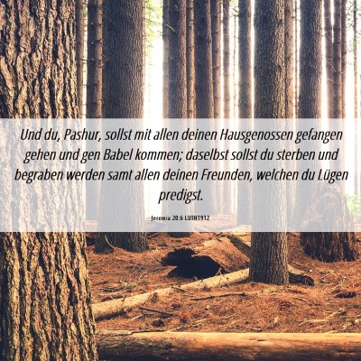 Picture 06 - Jeremia 20:6 LUTH1912 - Und du, Pashur, sollst mit allen deinen - Bible Verse Picture