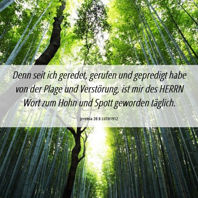 Picture 06 - Jeremia 20:8 LUTH1912 - Denn seit ich geredet, gerufen und gepredigt habe - Bible Verse Picture