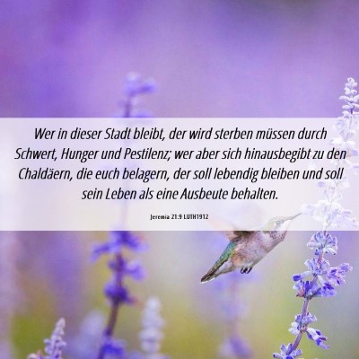 Picture 06 - Jeremia 21:9 LUTH1912 - Wer in dieser Stadt bleibt, der wird sterben - Bible Verse Picture