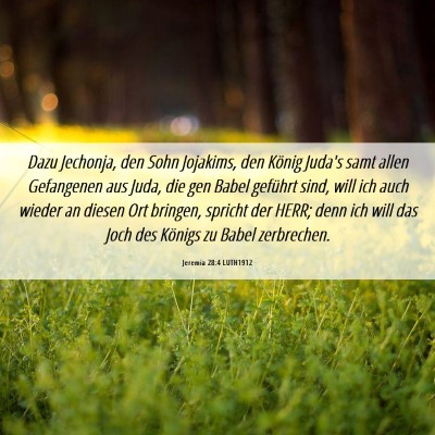 Picture 06 - Jeremia 28:4 LUTH1912 - Dazu Jechonja, den Sohn Jojakims, den König - Bible Verse Picture