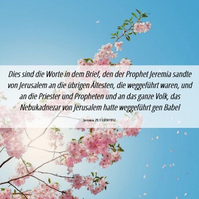Picture 06 - Jeremia 29:1 LUTH1912 - Dies sind die Worte in dem Brief, den der Prophet - Bible Verse Picture