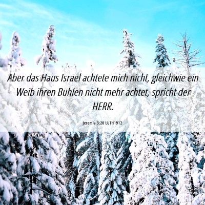 Picture 06 - Jeremia 3:20 LUTH1912 - Aber das Haus Israel achtete mich nicht, - Bible Verse Picture