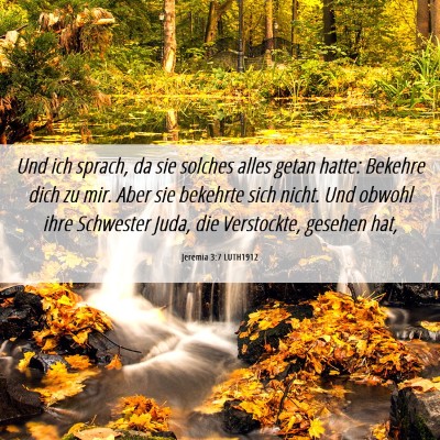 Picture 06 - Jeremia 3:7 LUTH1912 - Und ich sprach, da sie solches alles getan hatte: - Bible Verse Picture