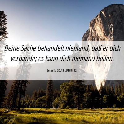 Picture 06 - Jeremia 30:13 LUTH1912 - Deine Sache behandelt niemand, daß er dich - Bible Verse Picture
