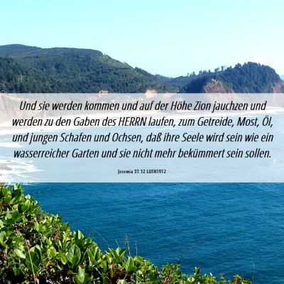 Picture 06 - Jeremia 31:12 LUTH1912 - Und sie werden kommen und auf der Höhe Zion - Bible Verse Picture