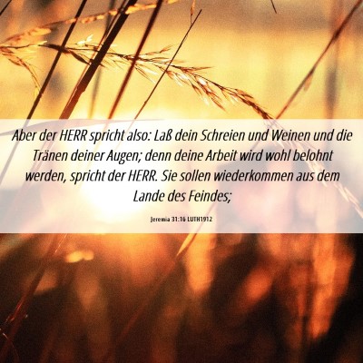 Picture 06 - Jeremia 31:16 LUTH1912 - Aber der HERR spricht also: Laß dein Schreien - Bible Verse Picture