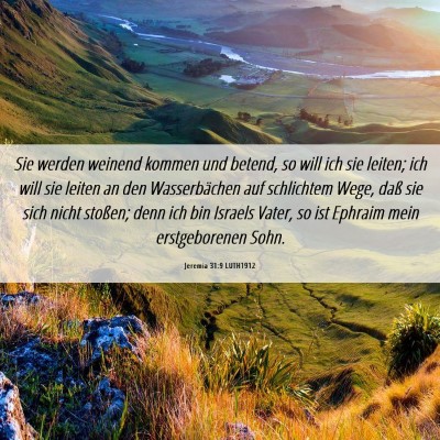 Picture 06 - Jeremia 31:9 LUTH1912 - Sie werden weinend kommen und betend, so will ich - Bible Verse Picture