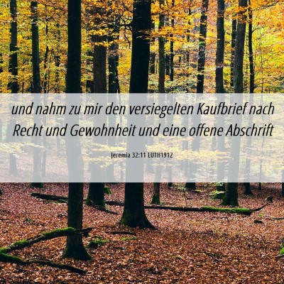 Picture 06 - Jeremia 32:11 LUTH1912 - und nahm zu mir den versiegelten Kaufbrief nach - Bible Verse Picture