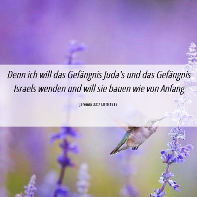 Picture 06 - Jeremia 33:7 LUTH1912 - Denn ich will das Gefängnis Juda's und das - Bible Verse Picture