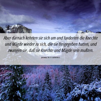 Picture 06 - Jeremia 34:11 LUTH1912 - Aber darnach kehrten sie sich um und forderten - Bible Verse Picture