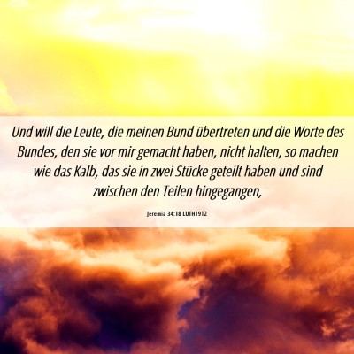 Picture 06 - Jeremia 34:18 LUTH1912 - Und will die Leute, die meinen Bund übertreten - Bible Verse Picture