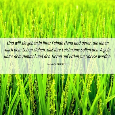 Picture 06 - Jeremia 34:20 LUTH1912 - Und will sie geben in ihrer Feinde Hand und - Bible Verse Picture