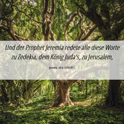 Picture 06 - Jeremia 34:6 LUTH1912 - Und der Prophet Jeremia redete alle diese Worte - Bible Verse Picture