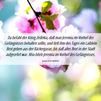 Picture 06 - Jeremia 37:21 LUTH1912 - Da befahl der König Zedekia, daß man Jeremia im - Bible Verse Picture
