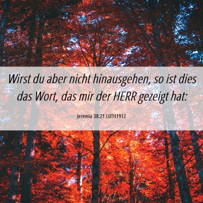 Picture 06 - Jeremia 38:21 LUTH1912 - Wirst du aber nicht hinausgehen, so ist dies das - Bible Verse Picture