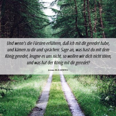 Picture 06 - Jeremia 38:25 LUTH1912 - Und wenn's die Fürsten erführen, daß ich mit - Bible Verse Picture