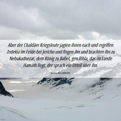 Picture 06 - Jeremia 39:5 LUTH1912 - Aber der Chaldäer Kriegsleute jagten ihnen nach - Bible Verse Picture