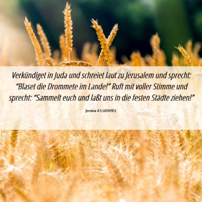 Picture 06 - Jeremia 4:5 LUTH1912 - Verkündiget in Juda und schreiet laut zu - Bible Verse Picture