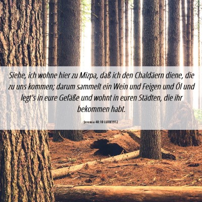 Picture 06 - Jeremia 40:10 LUTH1912 - Siehe, ich wohne hier zu Mizpa, daß ich den - Bible Verse Picture