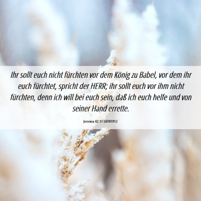 Picture 06 - Jeremia 42:11 LUTH1912 - Ihr sollt euch nicht fürchten vor dem König zu - Bible Verse Picture