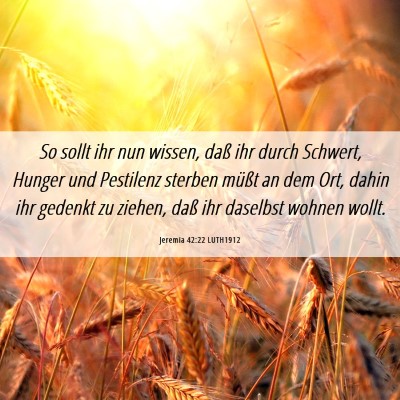 Picture 06 - Jeremia 42:22 LUTH1912 - So sollt ihr nun wissen, daß ihr durch Schwert, - Bible Verse Picture