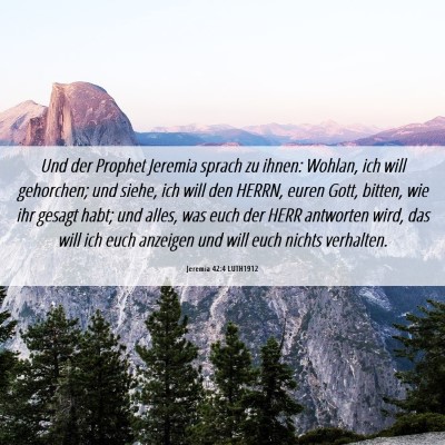 Picture 06 - Jeremia 42:4 LUTH1912 - Und der Prophet Jeremia sprach zu ihnen: Wohlan, - Bible Verse Picture