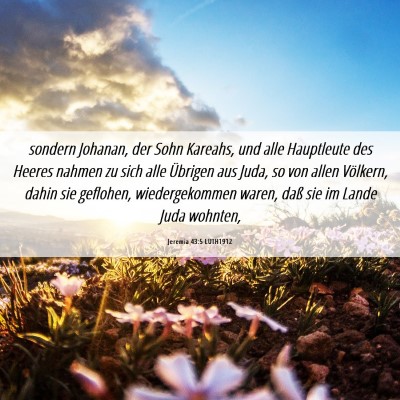 Picture 06 - Jeremia 43:5 LUTH1912 - sondern Johanan, der Sohn Kareahs, und alle - Bible Verse Picture