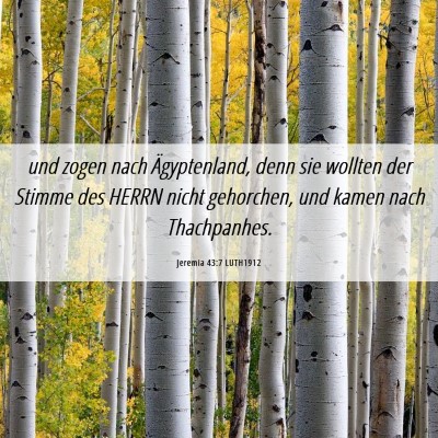 Picture 06 - Jeremia 43:7 LUTH1912 - und zogen nach Ägyptenland, denn sie wollten der - Bible Verse Picture