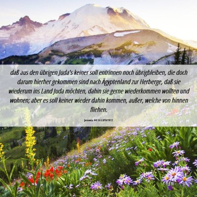 Picture 06 - Jeremia 44:14 LUTH1912 - daß aus den übrigen Juda's keiner soll - Bible Verse Picture