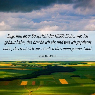 Picture 06 - Jeremia 45:4 LUTH1912 - Sage ihm also: So spricht der HERR: Siehe, was - Bible Verse Picture